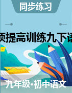 九年級下冊語文初三同步專項提高訓(xùn)練（部編版）