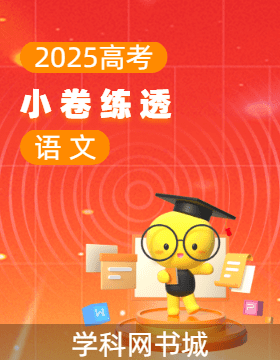 【師大金卷】2025高考語文一輪二輪銜接復(fù)習(xí)小卷練透階段測試卷（新高考）