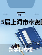 2025屆上海市奉賢區(qū)高三一模試題