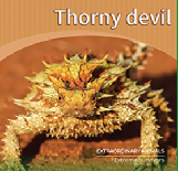 Thorny devil