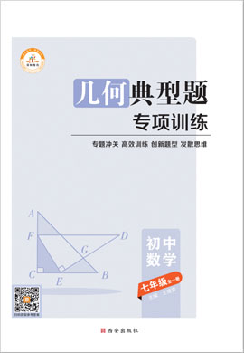 2021-2022学年七年级全一册数学【几何典型题专项训练】
