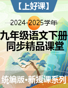 【上好课】2024-2025学年九年级语文下册同步精品课堂（统编版）