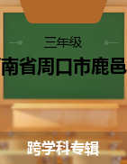 2021-2022学年河南省周口市鹿邑县三年级上学期期末考试试卷