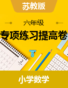 （專項練習(xí)提高卷）2022-2023學(xué)年六年級下冊數(shù)學(xué)易錯題專項培優(yōu)卷（蘇教版）