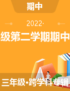 【真题】甘肃省白银市平川区红会学校三年级第二学期期中考试 2020-2021学年