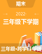 浙江省寧波市鎮(zhèn)海區(qū)2021-2022學(xué)年三年級(jí)下學(xué)期期末試題