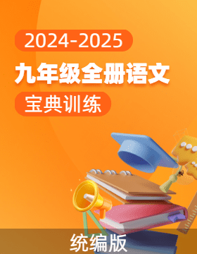  (配套課件)【寶典訓(xùn)練】2024-2025學(xué)年九年級(jí)全一冊(cè)語文高效課堂