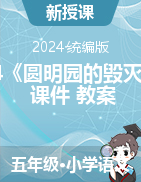 2024-2025學(xué)年語文五年級上冊14《圓明園的毀滅》課件+教案（統(tǒng)編版）