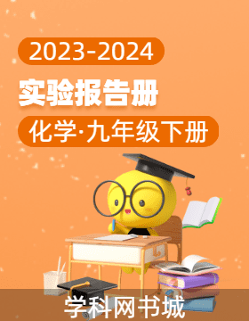 2023-2024学年九年级下册化学实验报告册（人教版）