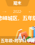 山东省枣庄市峄城区2021-2022学年五年级下学期期末考试试题 