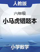 （同步講練測(cè)）2024-2025學(xué)年六年級(jí)下冊(cè)數(shù)學(xué)小馬虎錯(cuò)題本（人教版）