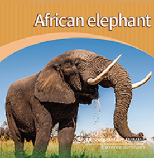 African elephant