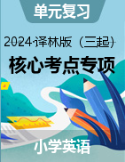 2024-2025學(xué)年四-六年級英語上學(xué)期核心考點(diǎn)專項(xiàng)練習(xí)（譯林版三起）  