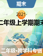 甘肃省庆阳市西峰区黄官寨实验学校2020-2021学年二年级上学期期末质量素质测评试卷