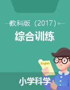 2024-2025學(xué)年小學(xué)科學(xué)上冊(cè)綜合訓(xùn)練（教科版）