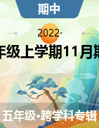甘肃省定西市安定区2022-2023学年五年级上学期11月期中试题