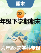 湖南省岳阳市岳阳楼区2021-2022学年六年级下学期期末教学质量监测试题