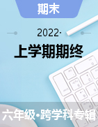 浙江省丽水市2019-2020学年六年级上学期期终封闭测试试题