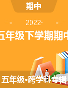 湖南省常德市汉寿县2021-2022学年五年级下学期期中考试试题