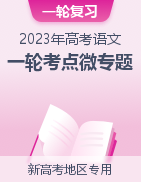 备战2023年高考语文一轮复习考点微专题（新高考地区专用）
