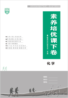 2022高考化學(xué)【正禾一本通】高三一輪總復(fù)習(xí)高效講義·素養(yǎng)培優(yōu)課下卷