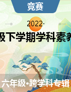 湖南省永州市道县2021-2022学年六年级下学期学科素养竞赛试题