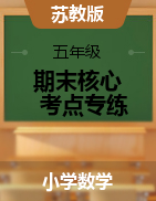 （計算能力+應用能力）2024-2025學年五年級數(shù)學上冊期末核心考點專練   蘇教版  