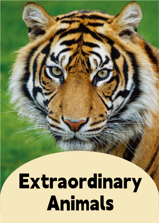 Extraordinary Animals