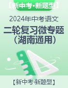 【新中考·新题型】备战2024年中考语文二轮复习微专题（湖南通用）