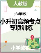 （小升初高頻考點(diǎn)專項訓(xùn)練）2022-2023學(xué)年六年級下冊數(shù)學(xué)人教版