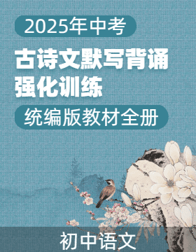 2025年中考語(yǔ)文古詩(shī)文默寫(xiě)背誦與強(qiáng)化訓(xùn)練