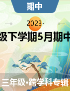 陕西省咸阳市泾阳县2022-2023学年三年级下学期5月期中试题