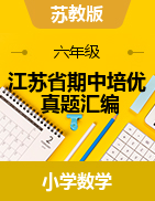 江蘇省期中培優(yōu)真題匯編講義-2024-2025學(xué)年六年級(jí)下冊(cè)數(shù)學(xué)蘇教版