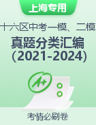 上海市十六区近四年（2022-2024）中考语文一模、二模试题分类汇编