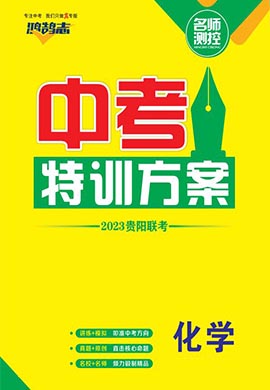 【鸿鹄志·名师测控】2023中考特训方案化学（贵阳联考）