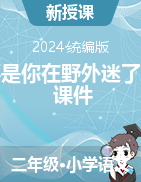 2023-2024學(xué)年語文二年級下冊17《要是你在野外迷了路》課件（統(tǒng)編版）