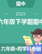 陕西省汉中市城固县2022-2023学年六年级下学期第二阶段性作业（期中）试题