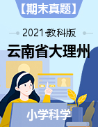 【期末真题】云南省大理州祥云县科学三-六上 2020-2021学年（教科版，含答案）