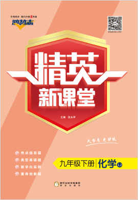 （作業(yè)課件）【鴻鵠志·精英新課堂】2022-2023學年九年級下冊初三化學（魯教版）