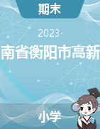 湖南省衡阳市高新区2023-2024学年上学期小学教学质量监测试题