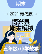 山东省滨州市博兴县数学五年级第二学期期末试题(一)-（六） 2020-2021学年（青岛版，无答案）