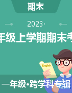 黑龙江省大庆市世纪阳光学校2022-2023学年一年级上学期期末考试试题