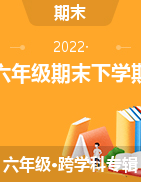 北京市朝阳区2021-2022学年六年级下学期期末毕业考试指导卷