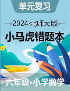 2023-2024学年六年级下册数学小马虎错题本（北师大版）