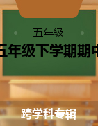 湖南省邵阳市双清区2020-2021学年五年级下学期期中检测试题