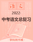 2022中考语文总复习