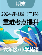 2024-2025學(xué)年六年級(jí)英語(yǔ)上冊(cè)重難考點(diǎn)提升訓(xùn)練（牛津譯林版）