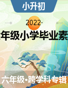 湖南省怀化市通道县2021-2022学年六年级小学毕业素质测试试题
