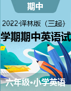 江苏省盐城市建湖县第二实验小学2022-2023学年上学期期中英语试题