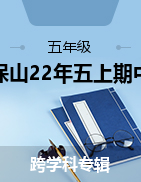 云南省保山市2022-2023学年五年级上学期期中考试试题